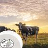 Queso Campesino cheese importer