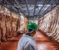 USDA Meat inspectors at a beef slaughterhouse. Photo: USDA