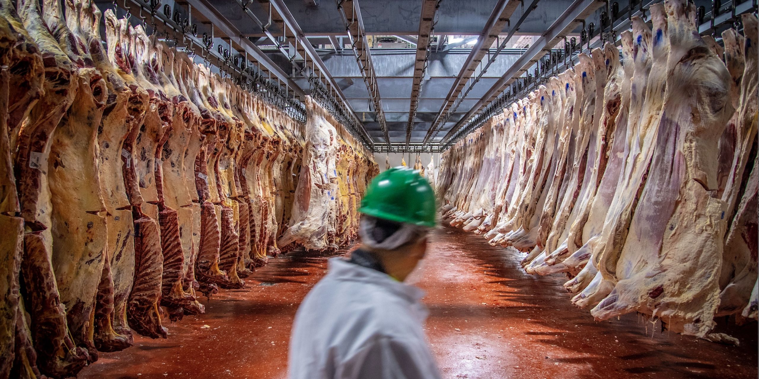 USDA Meat inspectors at a beef slaughterhouse. Photo: USDA