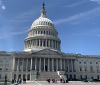 United States Capitol, Washington, D.C. Photo: Casey Quinlan