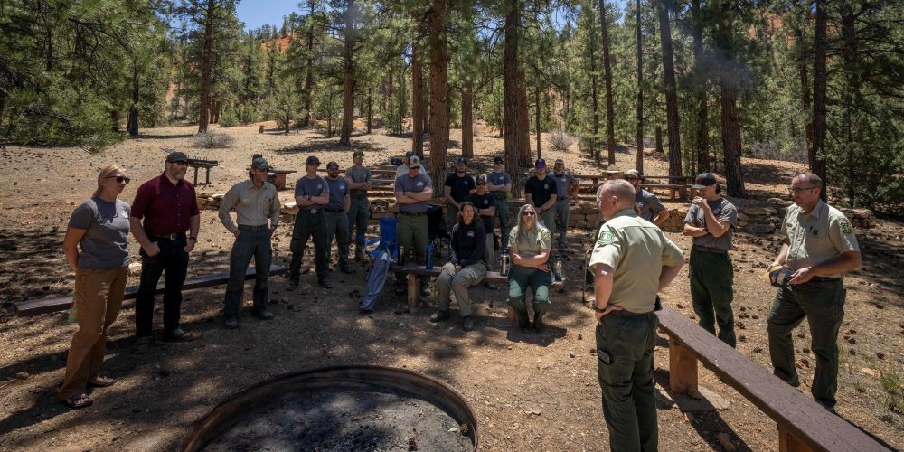 USDA Plan to Cut Forest Service, Move HQ to Utah,  Sows Confusion, Concern