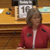Barb Kirkmeyer speaks about the 2026 budget on the Senate floor, Apr. 16, 2026